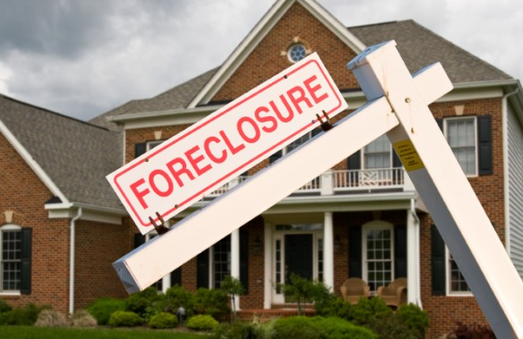 Other Services 1000008599