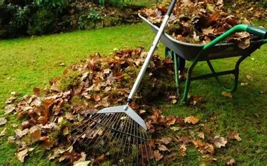 Add On Services oip (20)