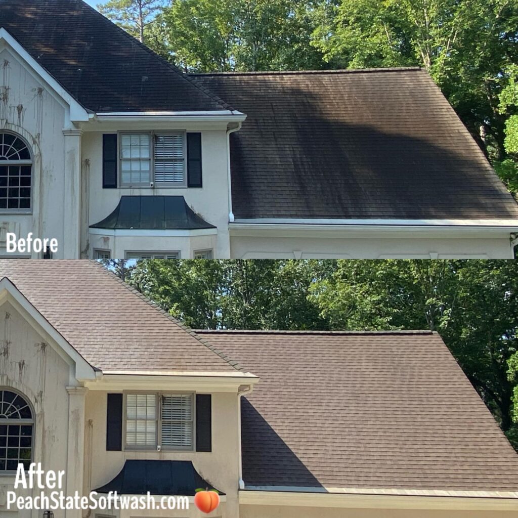 Add On Services roof wash1